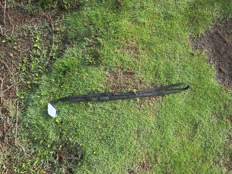 Digitaria ankaratrensis, photographed by bat (Maria Vorontsova)