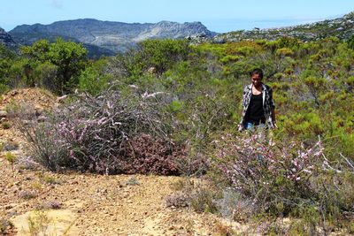 Leptospermum squarrosum, photographed by Tony Rebelo