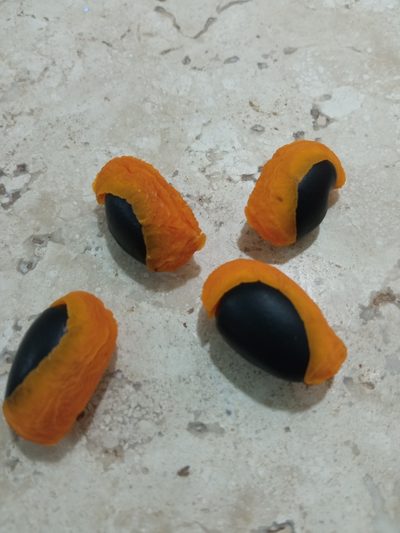 Copaifera langsdorffii, photographed by Josi Guimarães