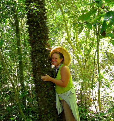 Zanthoxylum davyi, photographed by Di Turner