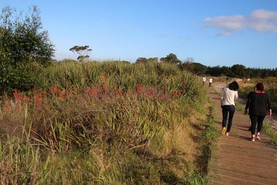 Watsonia angusta, photographed by Tony Rebelo