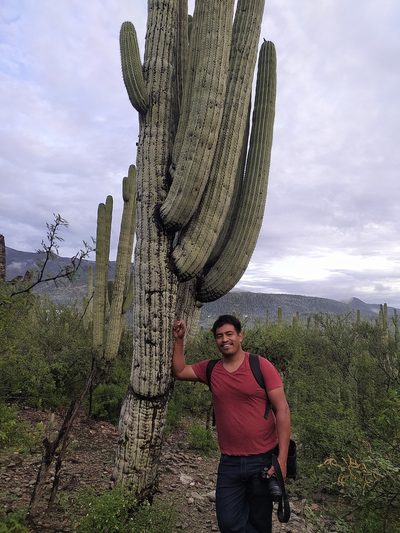 Cephalocereus tetetzo, photographed by Obed Palagot Echavarria
