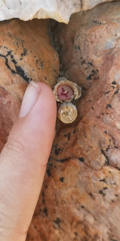 Conophytum chrisocruxum, photographed by leandra-k_89