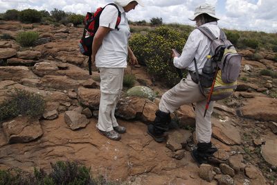 Euphorbia clavarioides, photographed by Tony Rebelo