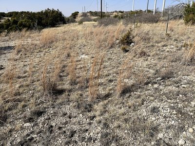 Schizachyrium scoparium, photographed by CK2AZ