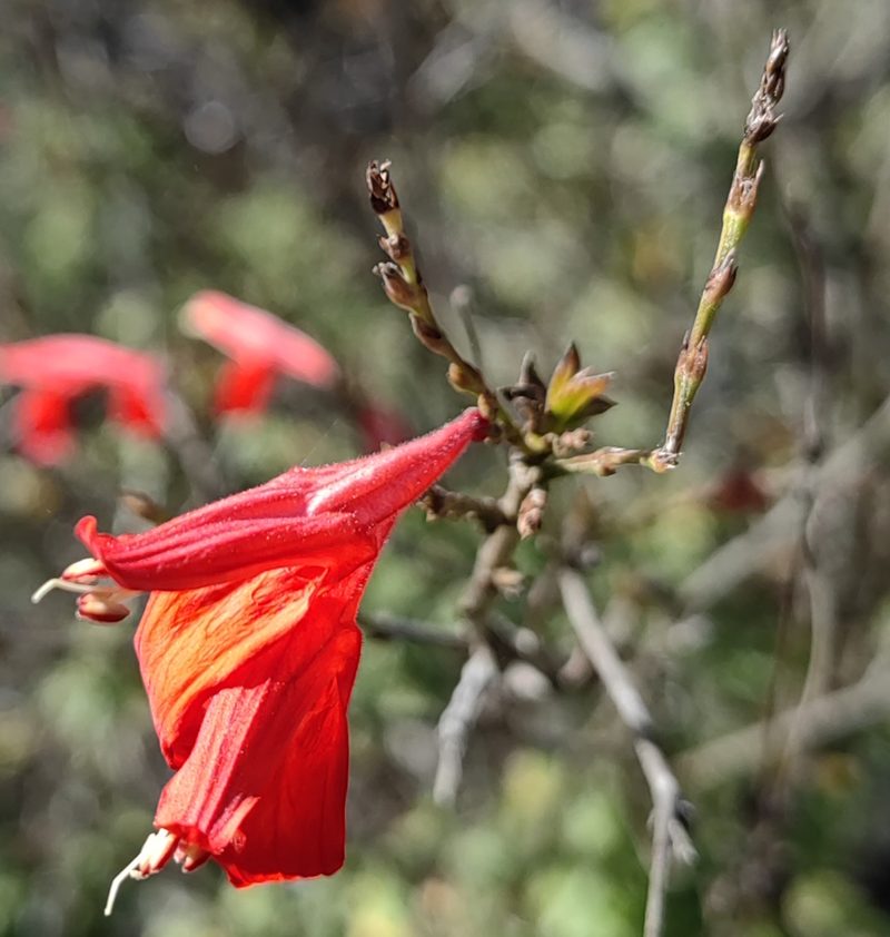 Justicia oaxacana, photographed by Eugenio Padilla