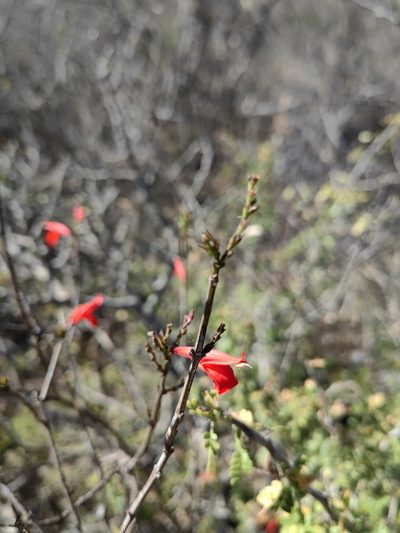 Justicia oaxacana, photographed by Eugenio Padilla