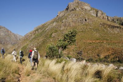 Heeria argentea, photographed by Tony Rebelo