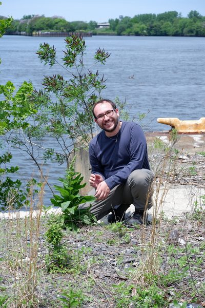 Verbascum maurum, photographed by Bonnie Semmling