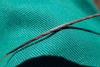 Microchloa afra, photographed by Jimmy Whatmore