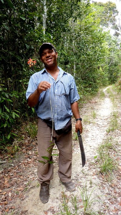 Epidendrum cinnabarinum, photographed by russiannaturalistbrazil