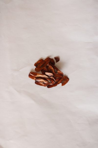 Lafoensia pacari, photographed by Diogo Luiz