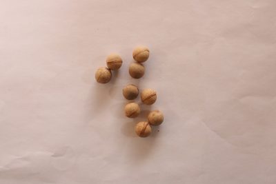 Prunus reflexa, photographed by Diogo Luiz