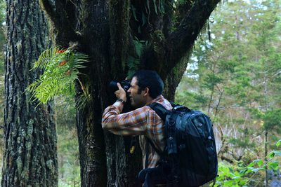 Polypodium rhodopleuron, photographed by Alan Rockefeller