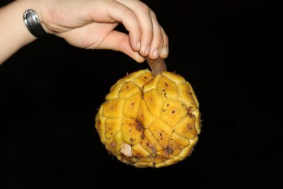 Myrianthus arboreus, photographed by Fábio Olmos
