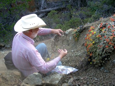 Eriogonum cedrorum, photographed by Roger Raiche